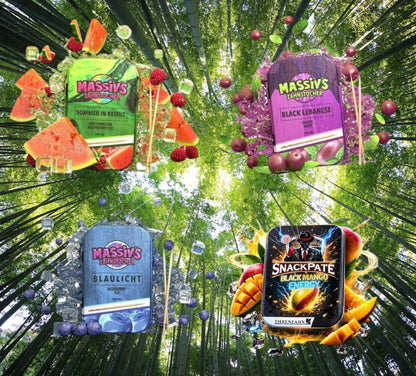 Bundle 4x Zahnstocher 3x Massiv Geschmack Water, Grape + 1x Snackpate Ehrenzahn Mango Energy