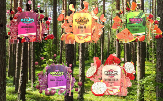 5 x Massiv's Zahnstocher mit Geschmack Peach Ice, Berrymix Ice, Grape Mint, Dragonfruit Ice, Watermelon Raspberry Ice