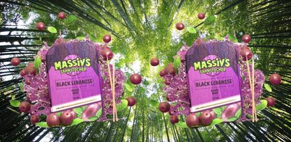 4 x Massiv's Zahnstocher mit Geschmack 2x Peach Ice + 2x Grape Mint