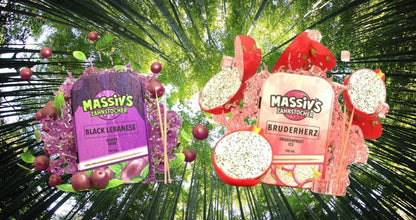 2 x Massiv's Zahnstocher mit Geschmack Black Lebanese Grape Mint , Bruderherz Dragonfruit Ice